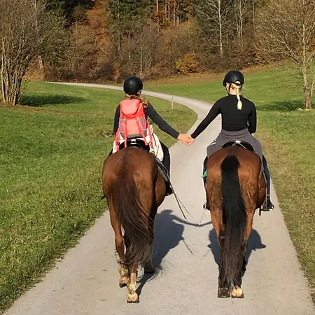 Reiterbauernhof Maho *