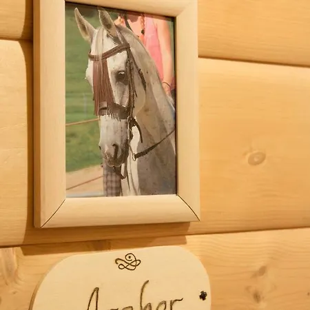 Reiterbauernhof Maho * Sankt Aegyd am Neuwalde