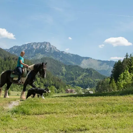 Gospodarstwo agroturystyczne Reiterbauernhof Maho