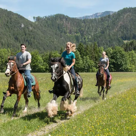 Reiterbauernhof Maho Sankt Aegyd am Neuwalde