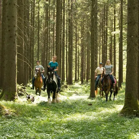Reiterbauernhof Maho Alojamento de Turismo Rural *