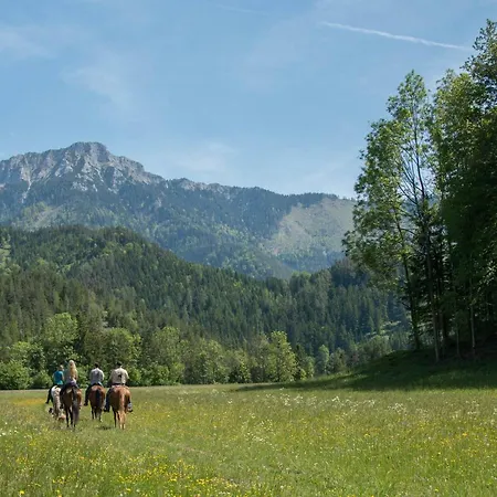 Farmház Reiterbauernhof Maho