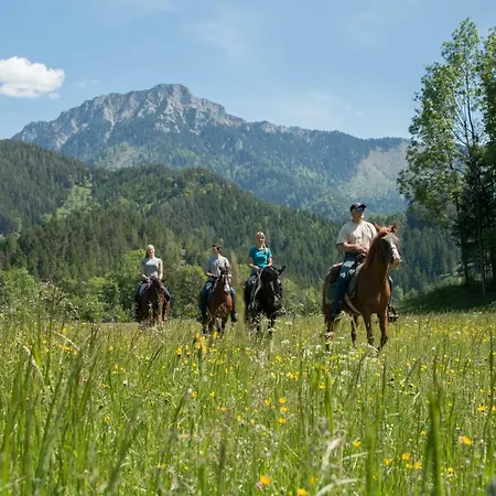 Reiterbauernhof Maho Alojamento de Turismo Rural *
