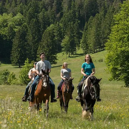Reiterbauernhof Maho * Sankt Aegyd am Neuwalde
