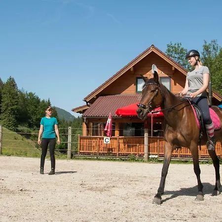 Reiterbauernhof Maho Sankt Aegyd am Neuwalde