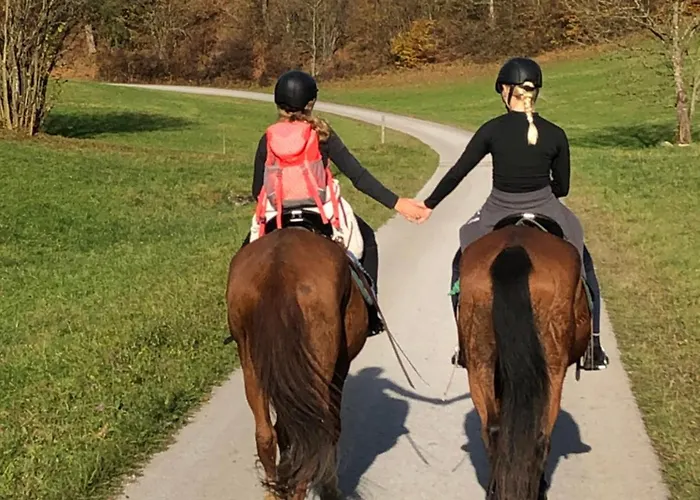 Reiterbauernhof Maho *