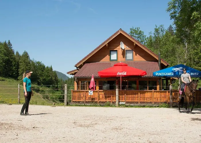 Reiterbauernhof Maho Agroturismo Sankt Aegyd am Neuwalde