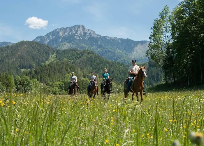 Reiterbauernhof Maho Agroturismo *