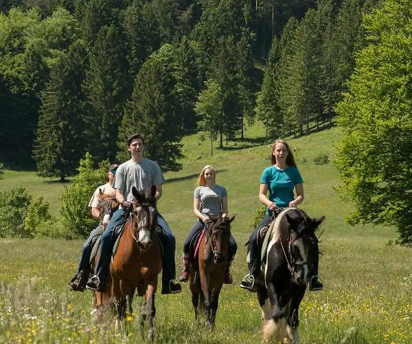 Reiterbauernhof Maho * Sankt Aegyd am Neuwalde