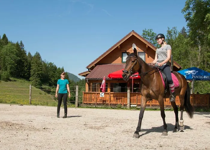Reiterbauernhof Maho Sankt Aegyd am Neuwalde